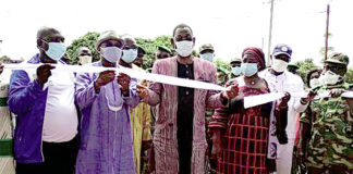 Journée mondiale de l’environnement 2020 : Non à la coupe abusive du bois… !