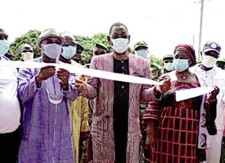 Journée mondiale de l’environnement 2020 : Non à la coupe abusive du bois… !