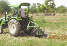 Campagne agricole 2020-2021: 250 mille tonnes de céréales attendues au Centre-Nord