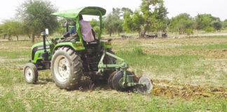 Campagne agricole 2020-2021: 250 mille tonnes de céréales attendues au Centre-Nord