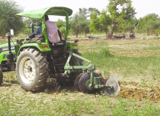 Campagne agricole 2020-2021: 250 mille tonnes de céréales attendues au Centre-Nord
