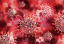 Lutte contre la Covid-19: Cuba sur le point d’expérimenter un vaccin