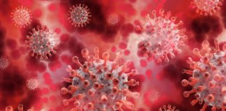 COVID19 au Burkina : 12 nouveaux cas confirmés, 02 guérisons et 00 décès à la date du 09 juillet 2020.