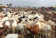 Attaque du marché de bétail de Namoungou: Le président du Faso, Roch Kabore rend hommage aux victimes.