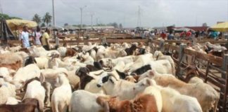 Attaque du marché de bétail de Namoungou: Le président du Faso, Roch Kabore rend hommage aux victimes.