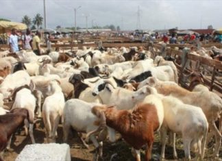 Attaque du marché de bétail de Namoungou: Le président du Faso, Roch Kabore rend hommage aux victimes.