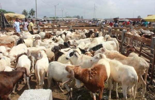 Attaque du marché de bétail de Namoungou: Le président du Faso ...