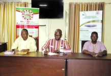 Energies renouvelables : action canicule 4 pour la promotion des kits solaires