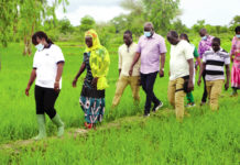 Campagne agricole au Centre-Sud : une production de 470 000 tonnes attendue