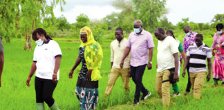 Campagne agricole au Centre-Sud : une production de 470 000 tonnes attendue