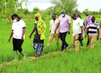 Campagne agricole au Centre-Sud : une production de 470 000 tonnes attendue