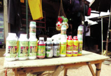 Pesticides non homologués : les « alliés » nuisibles des paysans du Nahouri