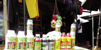 Pesticides non homologués : les « alliés » nuisibles des paysans du Nahouri