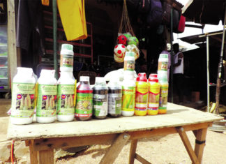 Pesticides non homologués : les « alliés » nuisibles des paysans du Nahouri