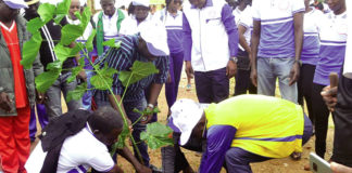 Journée de l’arbre des cités: le site de Bassinko reçoit 1 500 plants