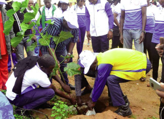 Journée de l’arbre des cités: le site de Bassinko reçoit 1 500 plants
