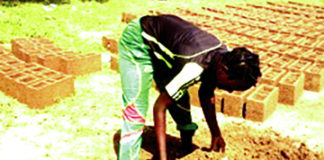 Confection des briques: Une passion pour Sandrine Doulkom et Léontine Yelkouni