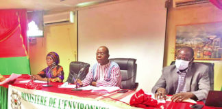 Economie verte et changement climatique