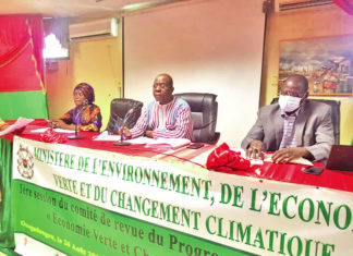 Economie verte et changement climatique