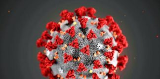 Covid19 Burkina : 07 nouveaux cas, 06 guérisons