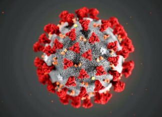 Covid19 Burkina : 07 nouveaux cas, 06 guérisons