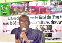 3e édition des Journées culturelles du Tuy : Le patrimoine culturel mis en relief à Houndé