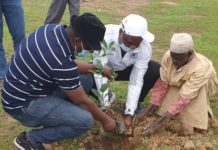Reboisement du Rotary club Ouagadougou Savane: Doundoulma reçoit 750 plants