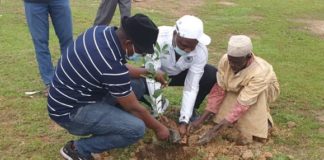 Reboisement du Rotary club Ouagadougou Savane: Doundoulma reçoit 750 plants