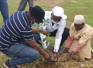 Reboisement du Rotary club Ouagadougou Savane: Doundoulma reçoit 750 plants