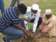 Reboisement du Rotary club Ouagadougou Savane: Doundoulma reçoit 750 plants