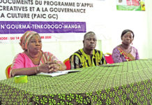 Promotion des industries créatives au Centre-Sud : un programme d’appui présenté aux acteurs culturels