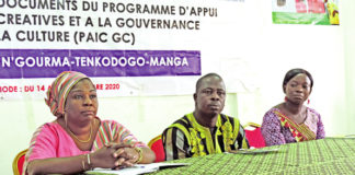 Promotion des industries créatives au Centre-Sud : un programme d’appui présenté aux acteurs culturels