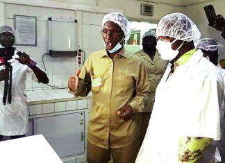 Semaine burkinabè de l’industrie : Le ministre Harouna Kaboré visite Presta-Sud et DAFANI SA