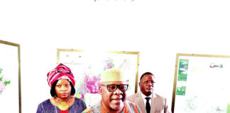 COVID-19: la résilience du secteur minier africain