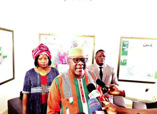 COVID-19: la résilience du secteur minier africain