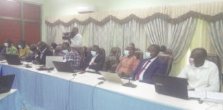 Promotion des investissements de la diaspora : Une stratégie d’attraction en vue