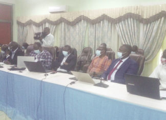 Promotion des investissements de la diaspora : Une stratégie d’attraction en vue