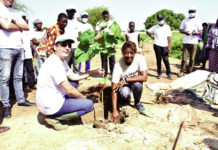 Commune de Ouagadougou: le groupe Hage reverdit la ceinture verte