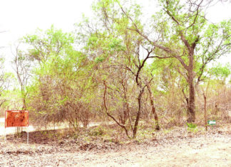 Programme d’investissement forestier: le rapport du PGFC/REDD+ en validation