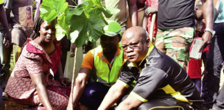 Reboisement : 1 200 plants de diverses espèces mis en terre à Poura