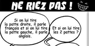 Sourire du 04 09 2020