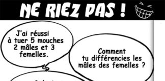 Sidwaya du 2-10-2020