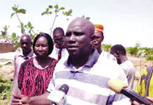 Culture sous serre hors sol au Burkina Faso : le Larlé Naaba Tigré relève le défi