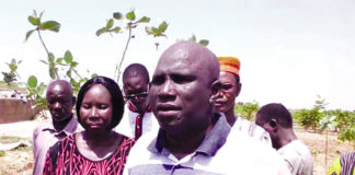 Culture sous serre hors sol au Burkina Faso : le Larlé Naaba Tigré relève le défi