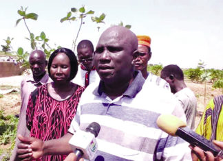 Culture sous serre hors sol au Burkina Faso : le Larlé Naaba Tigré relève le défi