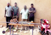 Lutte contre l’insécurité : des présumés voleurs de câbles des télécommunications aux arrêts