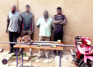 Lutte contre l’insécurité : des présumés voleurs de câbles des télécommunications aux arrêts