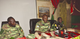 Braconnage: deux présumés trafiquants mis aux arrêts