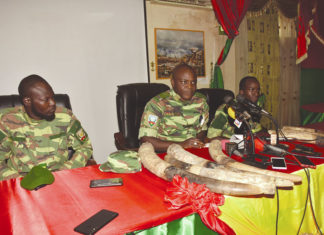 Braconnage: deux présumés trafiquants mis aux arrêts