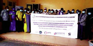 Protection de la biodiversité : « Biodev » pour freiner les menaces